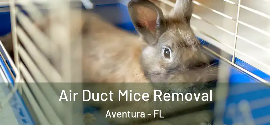 Air Duct Mice Removal Aventura - FL