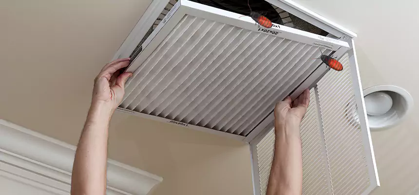 Preventive Cockroach-Proofing for Ducts in Aventura