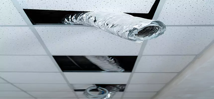 Affordable HVAC Sanitizing After Pest Removal in Aventura