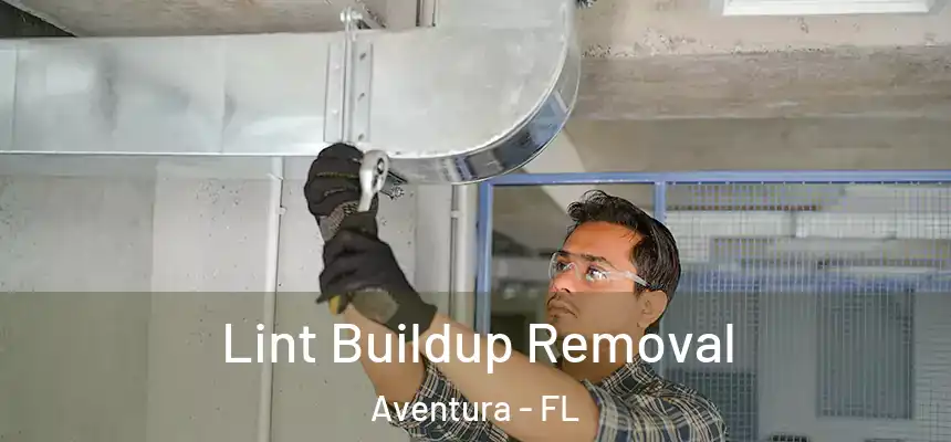  Lint Buildup Removal Aventura - FL