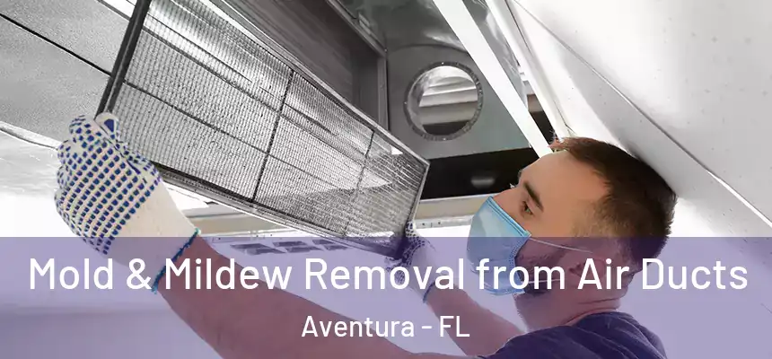  Mold & Mildew Removal from Air Ducts Aventura - FL