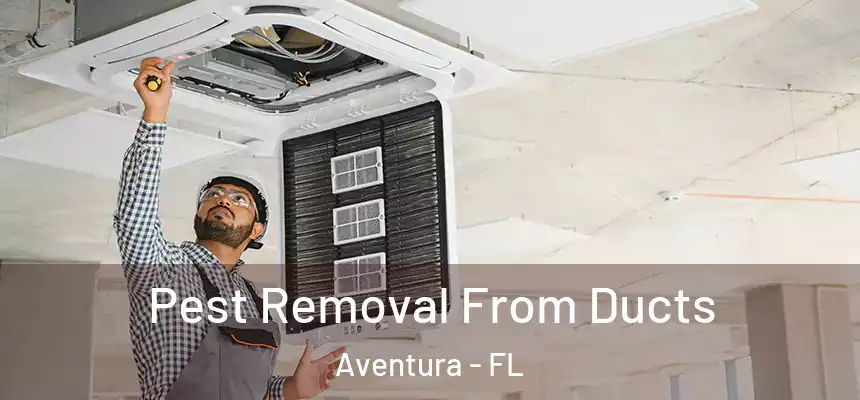Pest Removal From Ducts Aventura - FL