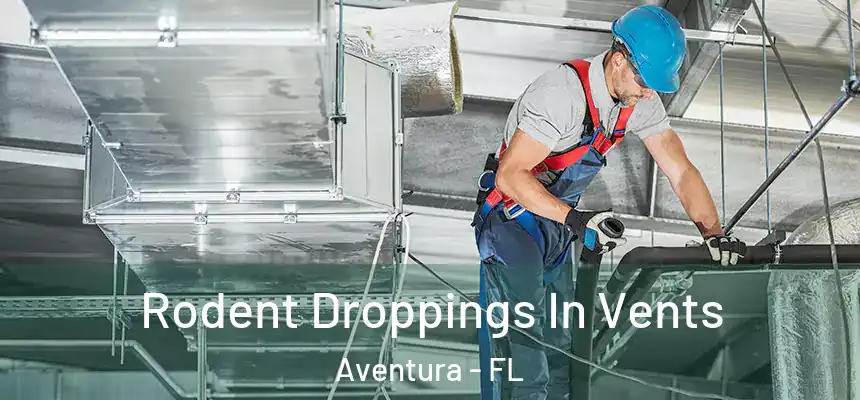  Rodent Droppings In Vents Aventura - FL