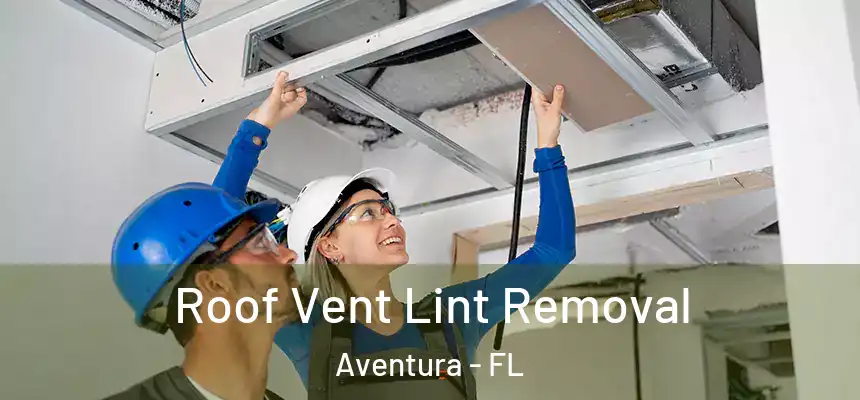  Roof Vent Lint Removal Aventura - FL