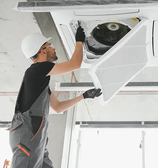 About Air Duct Rodent Removal in Aventura, FL