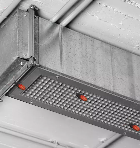 Affordable Insect Removal from Air Ducts in Aventura, FL