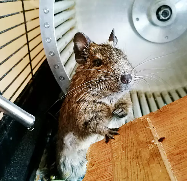 Why Homeowners & Businesses Trust Us Aventura, FL