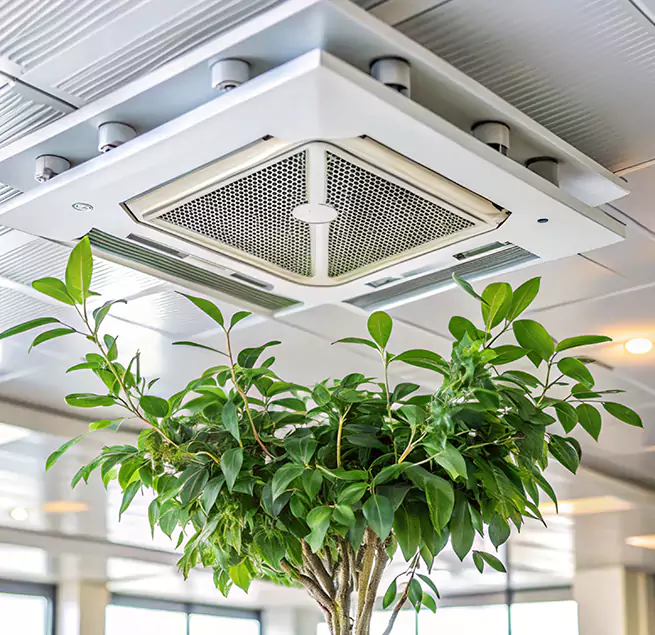 Why Homeowners & Businesses Trust Us in Aventura, FL?