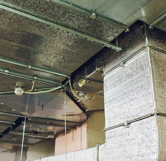 Why Homeowners & Businesses Trust Us in Aventura, FL?